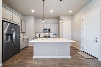 195 Silver Rock Trl in Castle Rock, CO - Building Photo - Building Photo