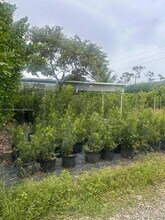 28000 SW 157th Ave in Homestead, FL - Building Photo - Building Photo