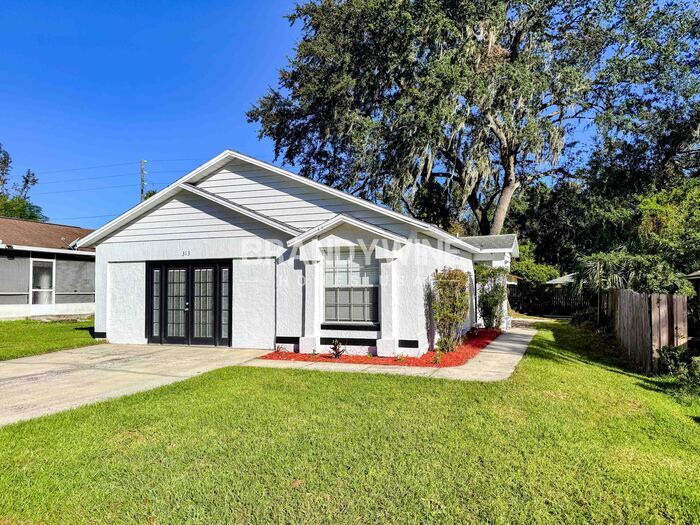 313 McCoy Village Ct in Apopka, FL - Building Photo