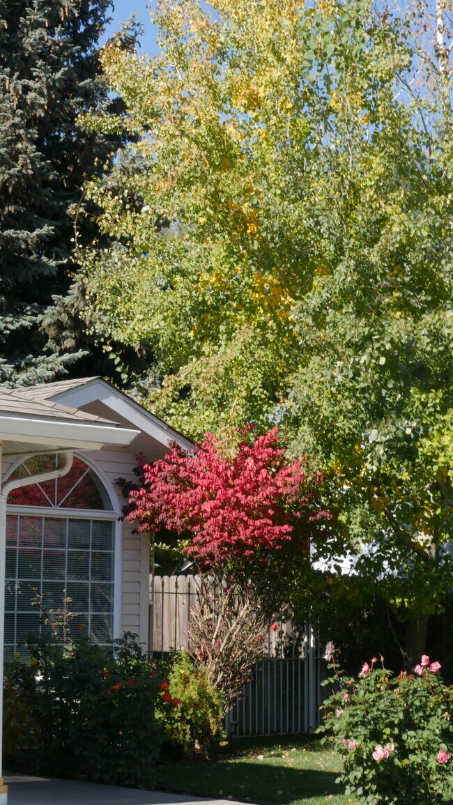 property at 2431 N 9th St