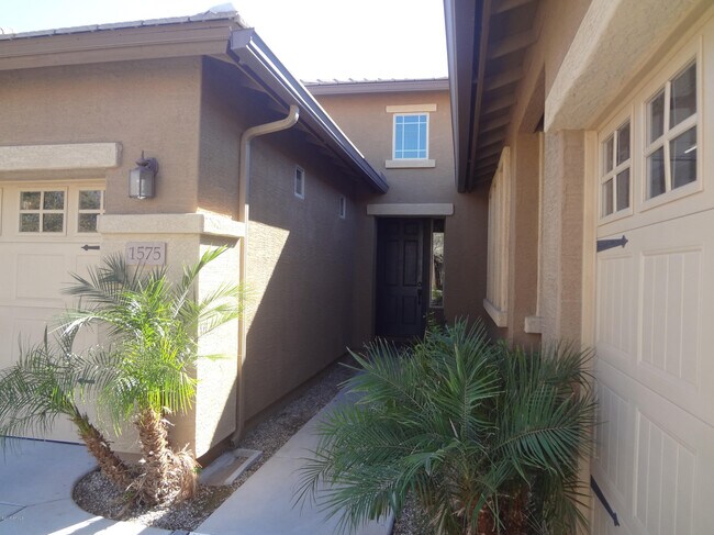 1575 W Pelican Ct in Chandler, AZ - Building Photo - Building Photo