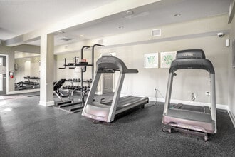 St. Charles Row in St. Petersburg, FL - Building Photo - Building Photo