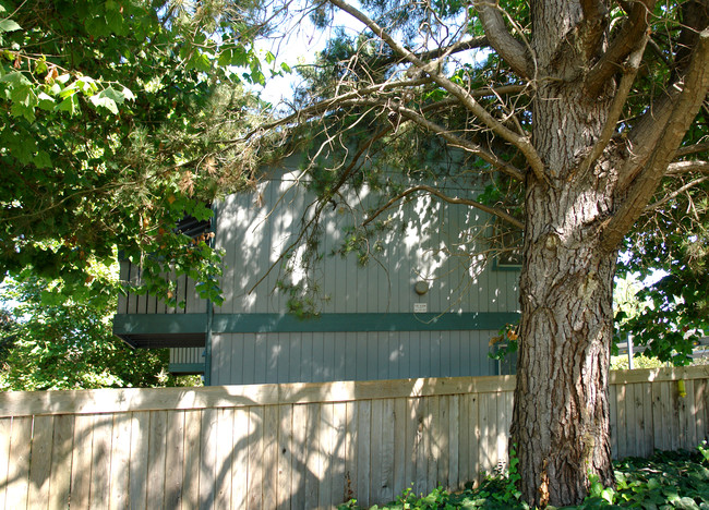 FourPlex in Rohnert Park, CA - Building Photo - Building Photo