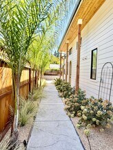 1707 Cedar St in Calistoga, CA - Foto de edificio - Building Photo