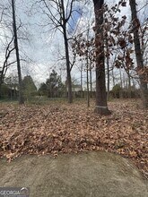 3821 River Rd in Ellenwood, GA - Building Photo - Building Photo