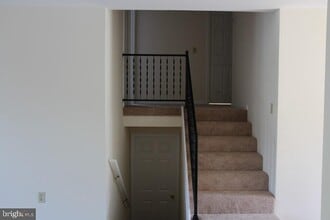 8651 Chester Ct in Easton, MD - Building Photo - Building Photo