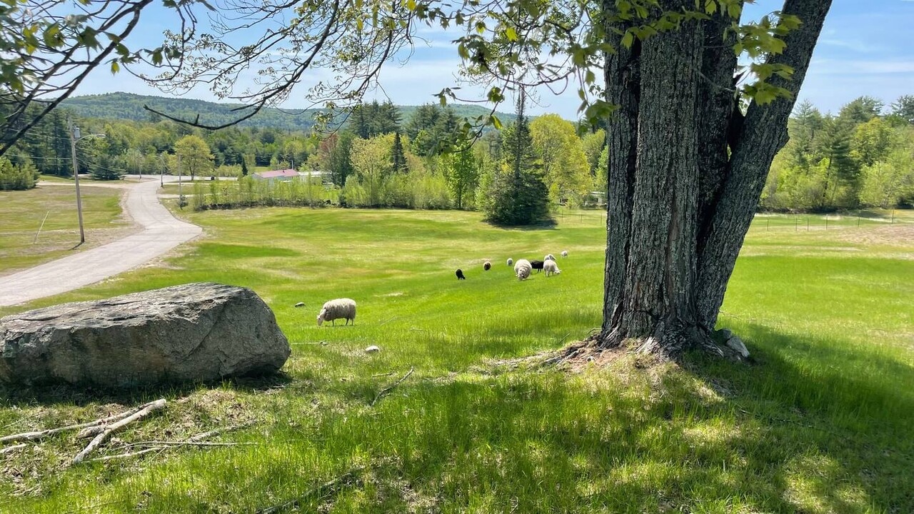 7 Snow Valley Rd in Bridgton, ME - Building Photo