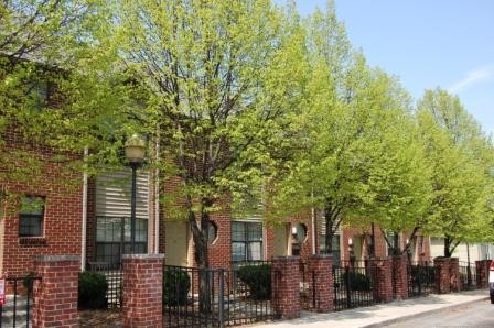 Ohio Street TownHomes in Indianapolis, IN - Building Photo