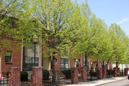 Ohio Street TownHomes in Indianapolis, IN - Foto de edificio