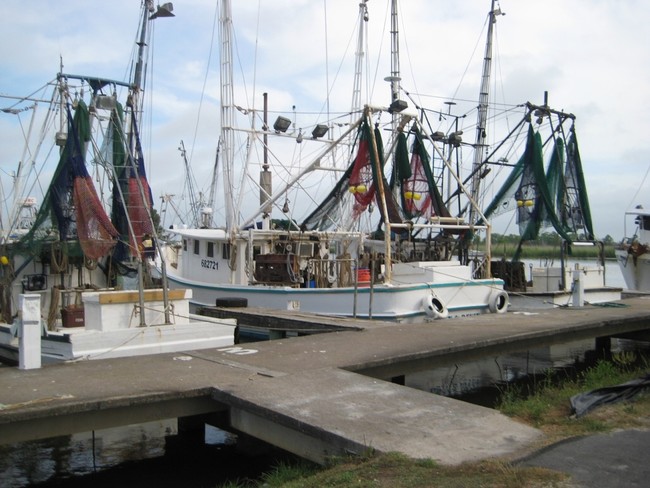 145 6th St in Apalachicola, FL - Building Photo - Building Photo