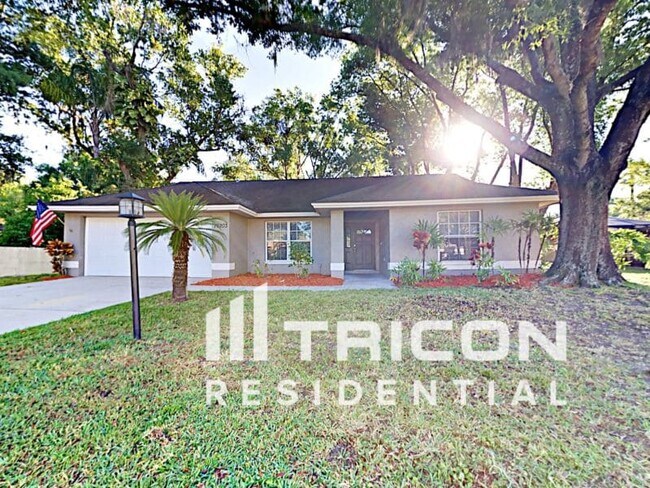 19203 Sunlake Blvd in Lutz, FL - Building Photo - Building Photo