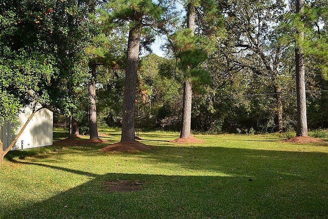 1710 Palmetto Ln in Houston, TX - Foto de edificio - Building Photo