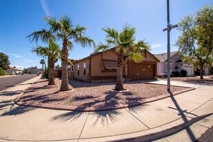 8587 N 107th Ln in Peoria, AZ - Building Photo