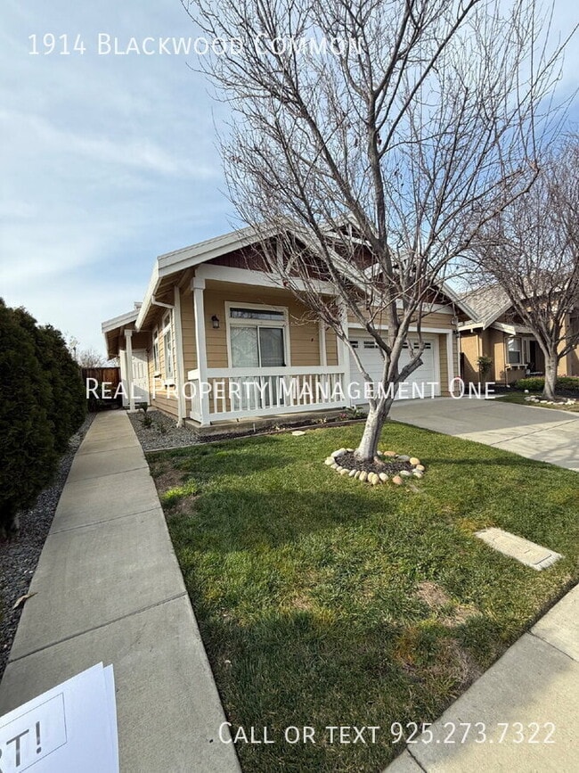 1914 Blackwood Common in Livermore, CA - Building Photo - Building Photo