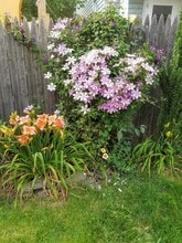 270 Bates St in Phillipsburg, NJ - Building Photo - Building Photo