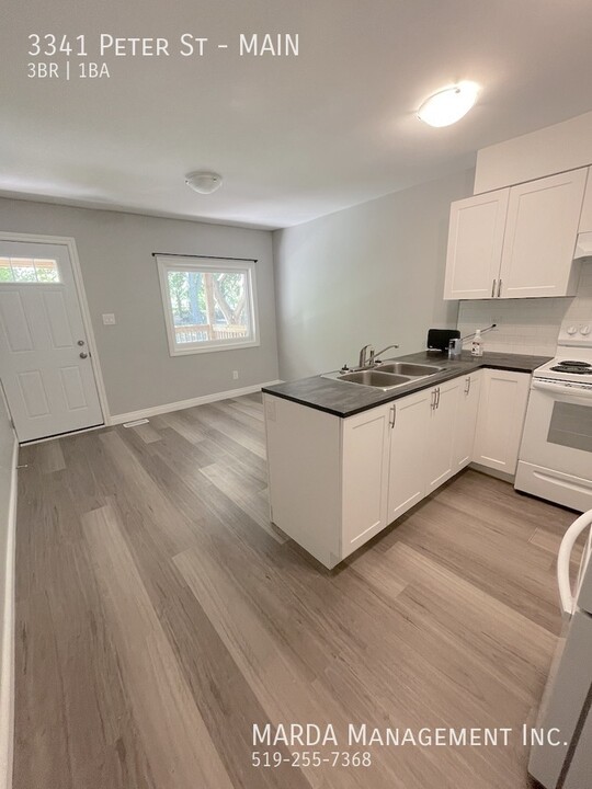 3341 Peter St in Windsor, ON - Building Photo