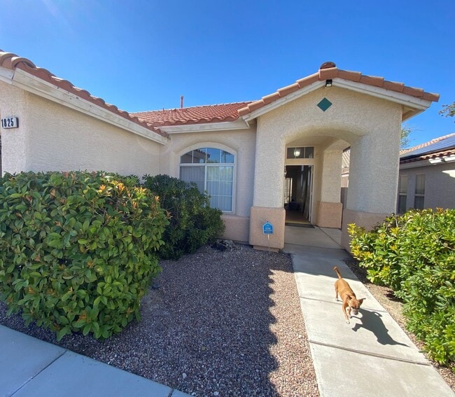 1825 Linton Hill Ln in Las Vegas, NV - Building Photo - Building Photo