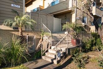 3647 Jasmine Ave in Los Angeles, CA - Building Photo - Building Photo