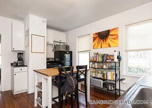 2 Hampshire Ct, Unit 2 in Cambridge, MA - Building Photo - Building Photo