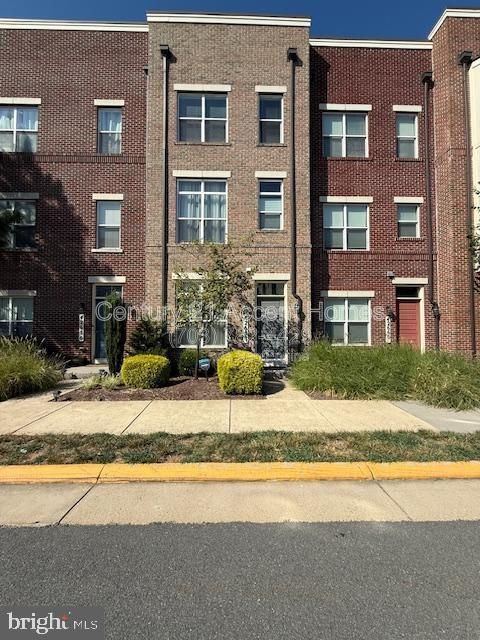 42658 Alicia Terrace in Ashburn, VA - Building Photo