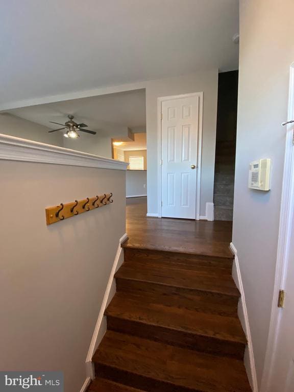 property at 14299 Newbern Loop