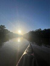 4773 County Rd 747A in Brazoria, TX - Building Photo - Building Photo