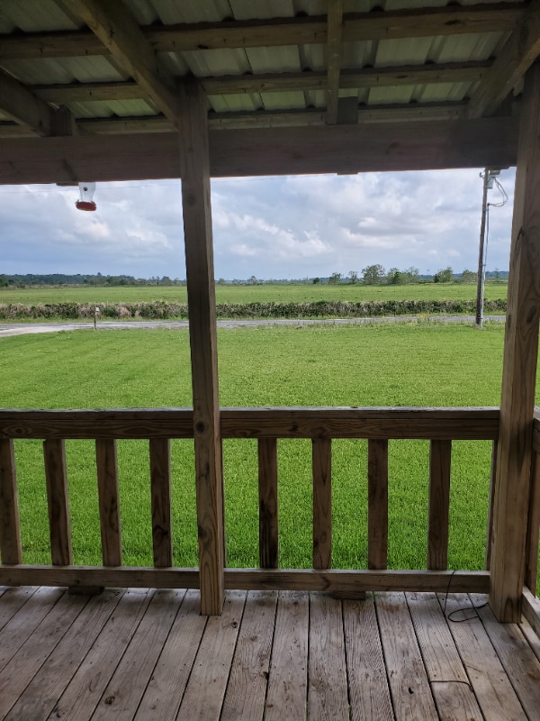 857 Briscoe Rd in Elton, LA - Building Photo - Building Photo
