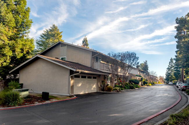 Vasona Terrace in Los Gatos, CA - Building Photo - Building Photo