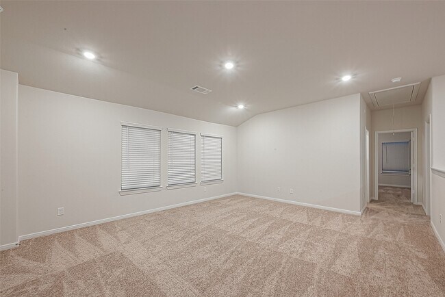 8014 Fijian Cypress Dr