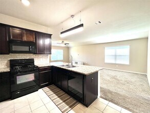 28806 Innes Park Pl in Katy, TX - Building Photo - Building Photo