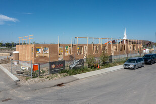 Essential Seton Townhomes in Calgary, AB - Building Photo - Building Photo