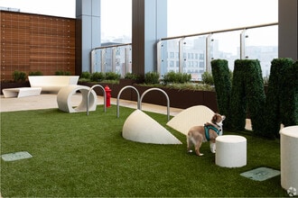 Hub50House in Boston, MA - Building Photo - Building Photo