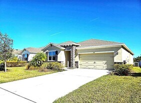 3908 Mossy Limb Ct in Palmetto, FL - Building Photo