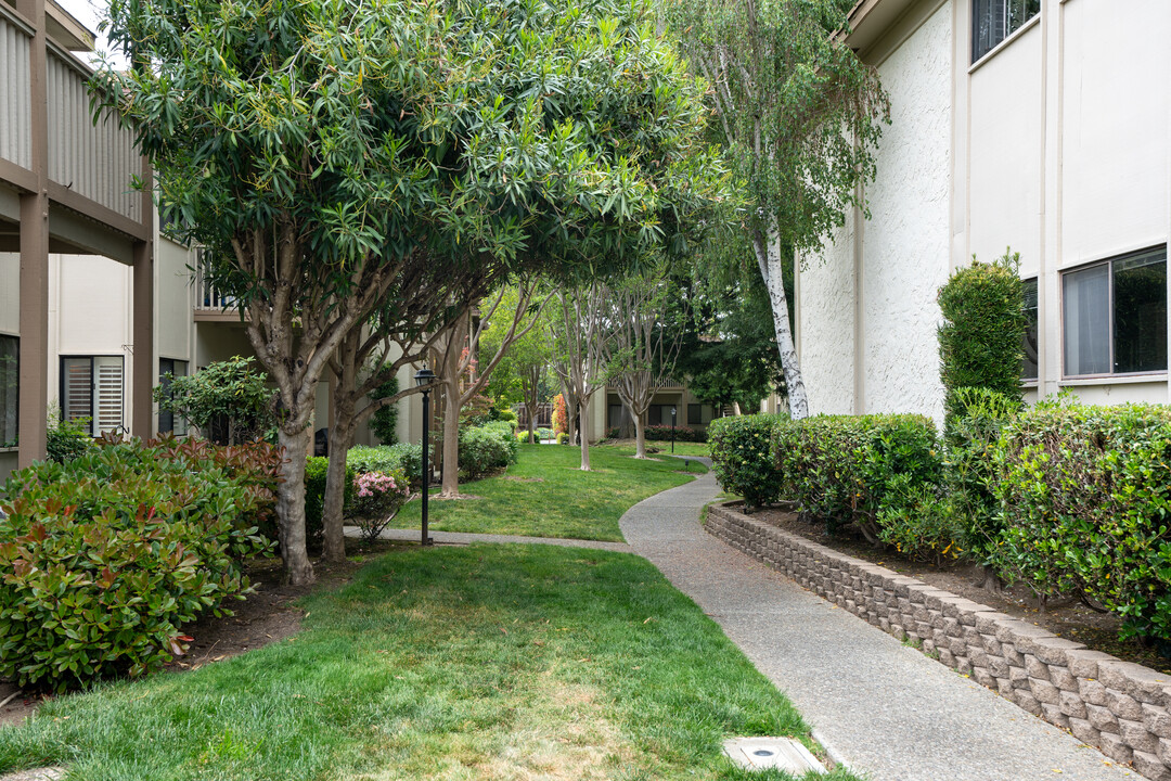 The Enclave in Redwood City, CA - Building Photo