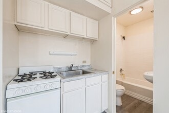 414 S Maple Ave in Oak Park, IL - Building Photo - Building Photo