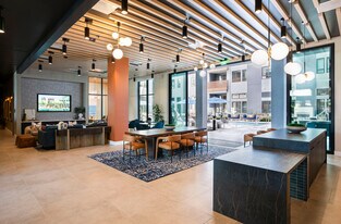 The Tolman in Fremont, CA - Building Photo