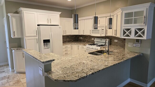 739 Blossom Ct in Naperville, IL - Building Photo - Building Photo