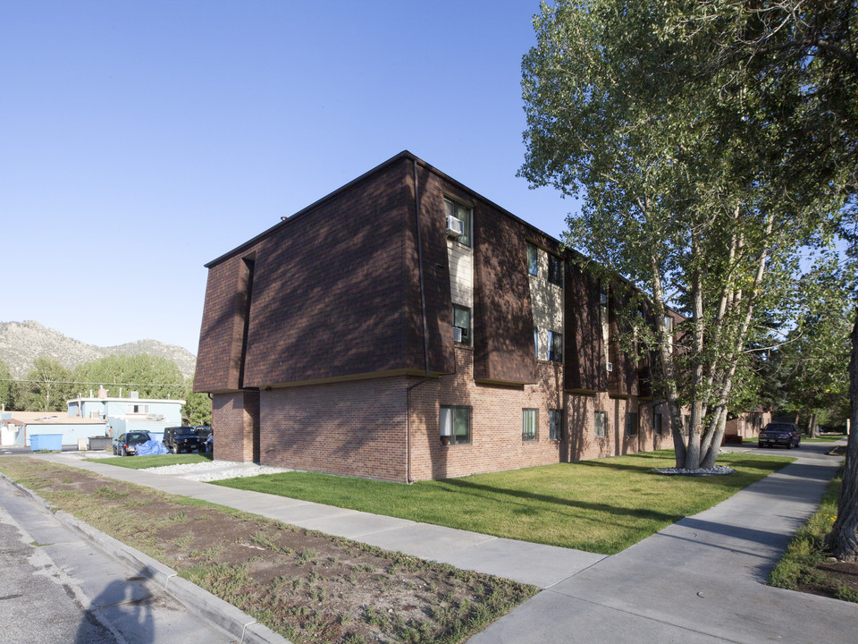 Sunrise Manor Seniors in Buena Vista, CO - Building Photo