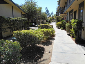 Oak Tree in Fresno, CA - Building Photo - Building Photo