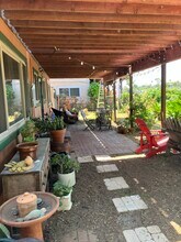 8301 Zitola Ter, Unit 1 in Playa Del Rey, CA - Building Photo - Building Photo