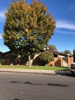 61 W Santa Ana Ave, Unit SANTA ANA APARTMENT in Clovis, CA - Foto de edificio - Building Photo