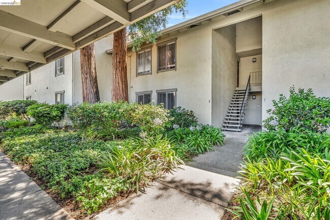 property at 2562 Walnut Blvd