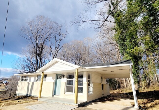 405 Seminole Dr in Madison Heights, VA - Building Photo - Building Photo