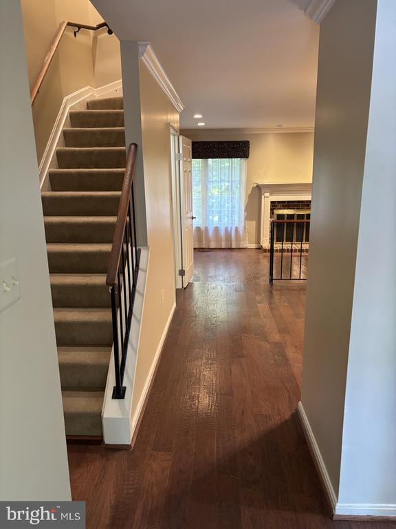 7802 Byrds Nest Pass in Annandale, VA - Building Photo - Building Photo