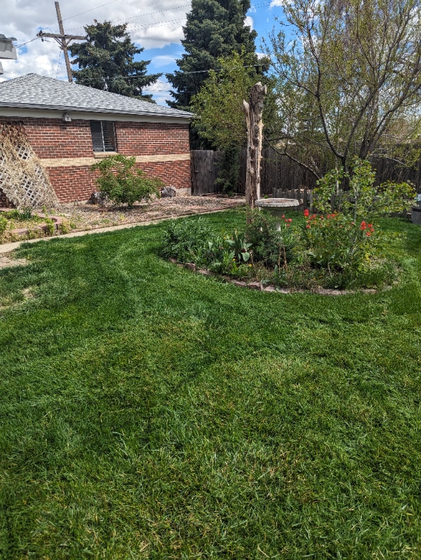 608 Emery Rd in Northglenn, CO - Building Photo - Building Photo