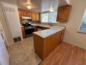 100 Silver Dr in Zephyr Cove, NV - Building Photo - Building Photo