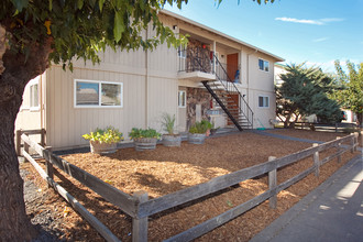 440 March Ave in Healdsburg, CA - Building Photo - Building Photo