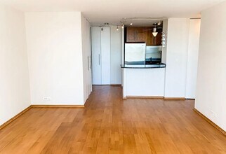 70 W Burton Pl in Chicago, IL - Building Photo - Building Photo