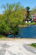 1 Alder St, Unit 1 in Worcester, MA - Foto de edificio - Building Photo