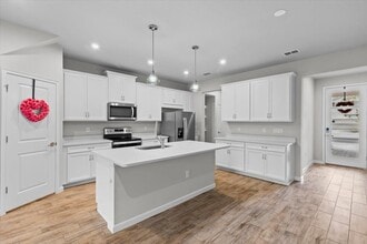 4212 Cloud Hopper Wy in Lutz, FL - Building Photo - Building Photo